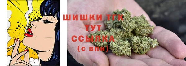 стаф Нягань