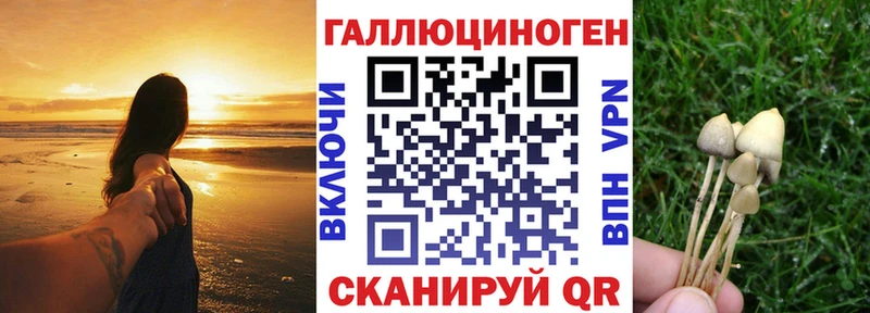 Галлюциногенные грибы прущие грибы  цены наркотик  Карталы 