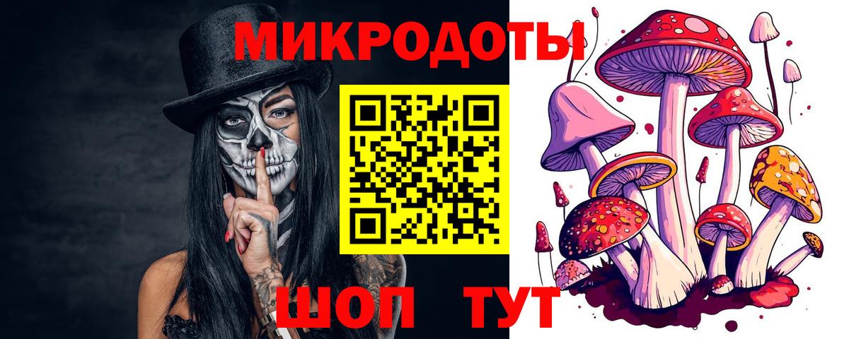 где продают   Псилоцибиновые грибы Psilocybine cubensis  Вход с VPN  Карталы 