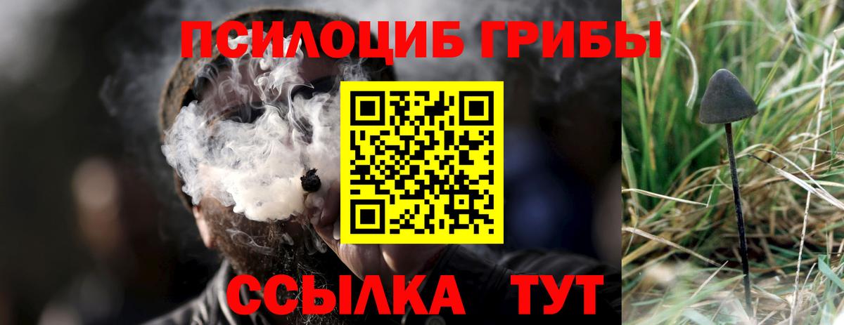 Галлюциногенные грибы мухоморы Карталы